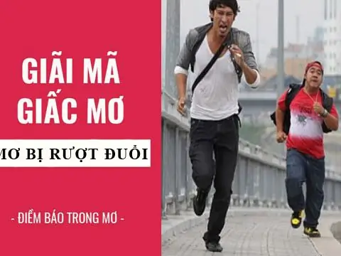 Giải Mã Giấc Mơ Thấy Người Đuổi Theo: Thông Điệp Ẩn Giấu Từ Tiềm Thức