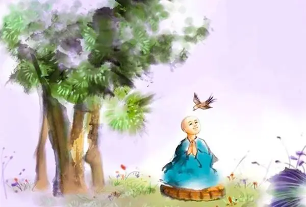 Giải Mã Giấc Mơ Thấy Cóc Nhảy Vào Người: Chi Tiết Từ Tâm Linh Đến Thực Tế