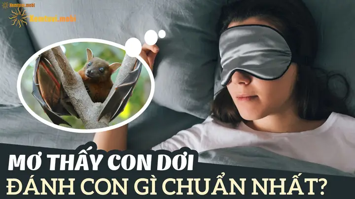 Nằm Mơ Thấy Con Dơi Đánh Số Gì: Giải Mã Chi Tiết Từ A Đến Z