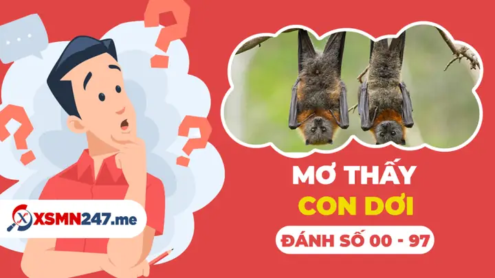 Nằm Mơ Thấy Con Dơi Đánh Số Gì: Giải Mã Chi Tiết Từ A Đến Z