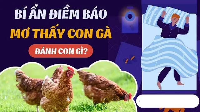 Nằm Mơ Thấy Con Đường Đang Thi Công: Giải Mã Ý Nghĩa Và Các Điềm Báo Liên Quan