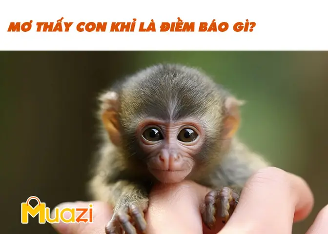 Giải Mã Giấc Mơ Thấy Khỉ: Điềm Báo Tâm Linh, Tâm Lý Học Và Con Số May Mắn