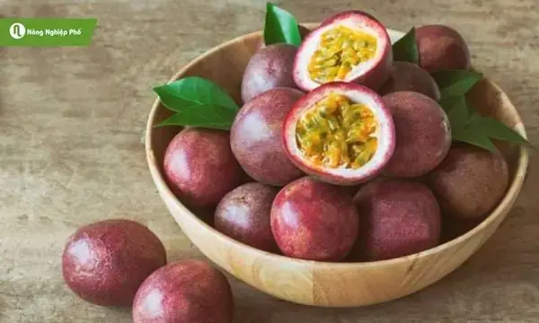 Giải Mã Chi Tiết Giấc Mơ Thấy Con Nai: Ý Nghĩa Và Con Số May Mắn