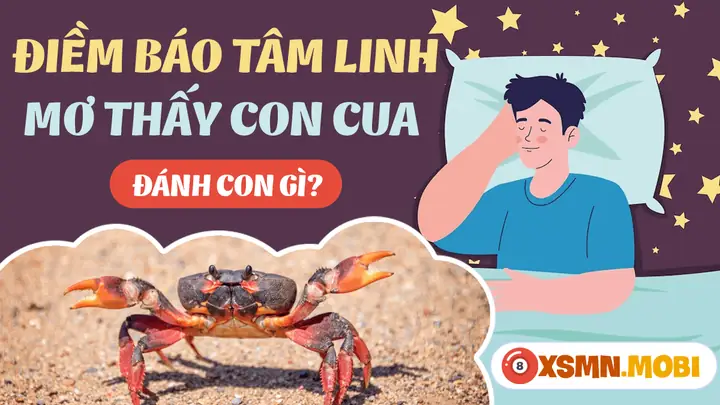 Nằm Mơ Thấy Cua Biển Đánh Số May: Giải Mã Chi Tiết Và Con Số Chính Xác