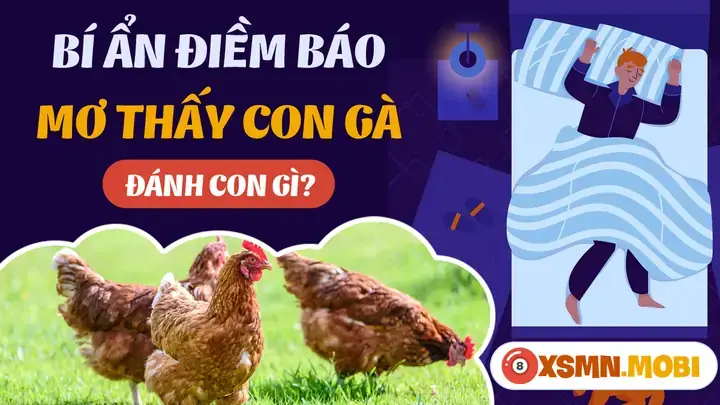 Giải Mã Giấc Mơ Thấy Đá Gà Ăn Tiền: Điềm Báo Gì Và Bài Học Cho Cuộc Sống Thực Tại