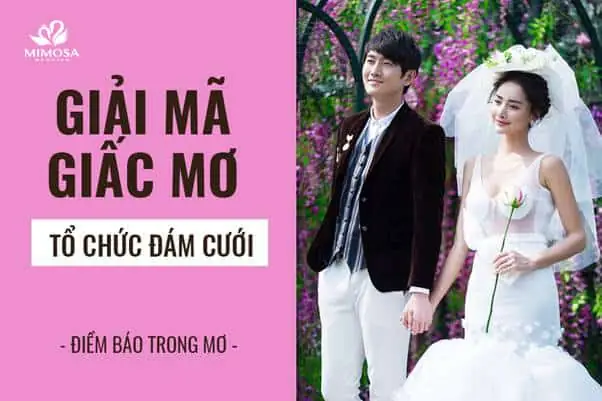 Giải Mã Chi Tiết Ý Nghĩa Giấc Mơ Thấy Đám Cưới Người Khác: Điềm Lành Hay Dữ?