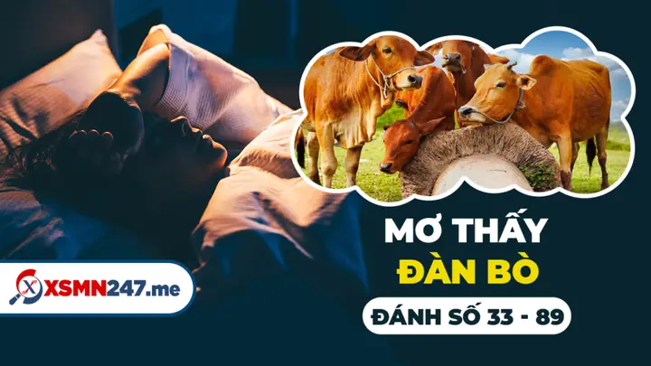 Nằm Mơ Thấy Đàn Bò Đánh Số Mấy? Giải Mã Chi Tiết Ý Nghĩa Và Con Số May Mắn
