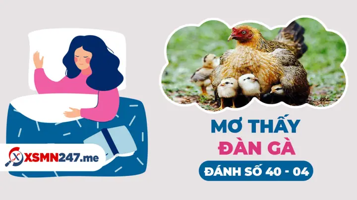 Giải Mã Giấc Mơ Thấy Đàn Gà: Điềm Lành, Dữ Và Con Số May Mắn Ẩn Chứa
