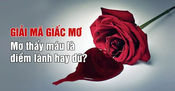 Giải Mã Ý Nghĩa Nằm Mơ Thấy Đánh Nhau Chảy Máu Đầu: Điềm Báo Gì Và Nên Làm Gì?