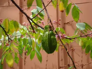 Giải Mã Ý Nghĩa Giấc Mơ Thấy Đập Heo Đất Lấy Tiền: Điềm Lành Hay Điềm Dữ?