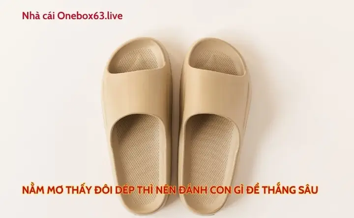 Giải Mã Giấc Mơ Thấy Dép Đứt: Điềm Báo Gì Và Những Con Số May Mắn