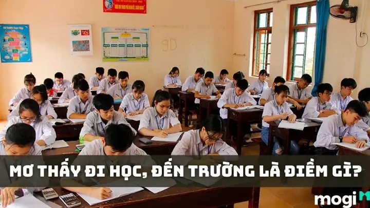 Nằm Mơ Thấy Đi Học Cùng Bạn Cũ: Giải Mã Chi Tiết Ý Nghĩa Tâm Linh & Tâm Lý