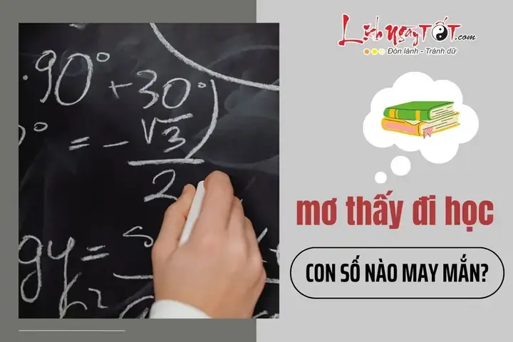 Nằm Mơ Thấy Đi Học Cùng Bạn Cũ: Giải Mã Chi Tiết Ý Nghĩa Tâm Linh & Tâm Lý