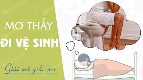 Giải Mã Giấc Mơ Thấy Đi Ỉa: Điềm Báo Gì Và Những Con Số May Mắn Liên Quan