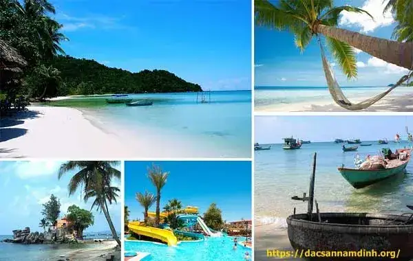 Giải Mã Nằm Mơ Thấy Đi Lạc Vào Rừng Đánh Số Gì? Chi Tiết Từ A-z