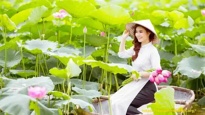 Giải Mã Nằm Mơ Thấy Đi Lạc Vào Rừng Đánh Số Gì? Chi Tiết Từ A-z