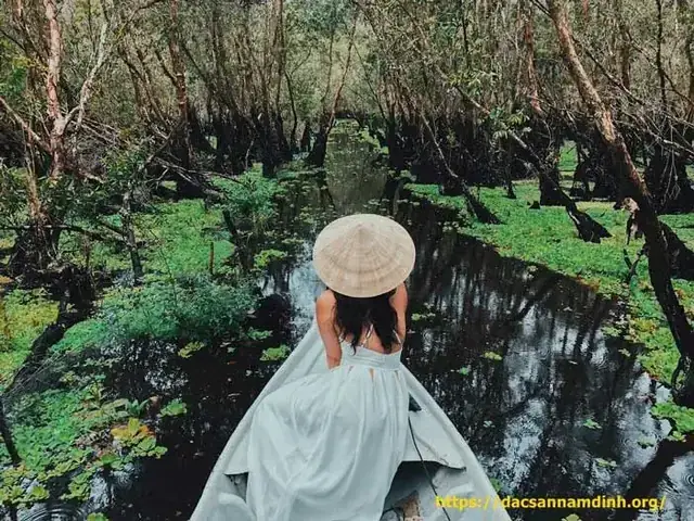 Giải Mã Nằm Mơ Thấy Đi Lạc Vào Rừng Đánh Số Gì? Chi Tiết Từ A-z