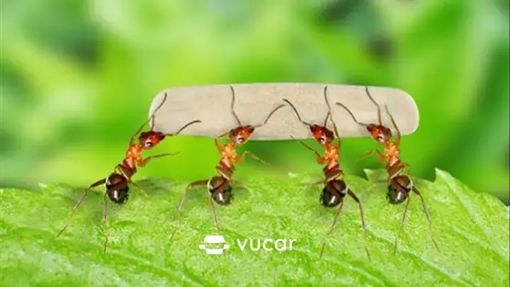 Giải Mã Giấc Mơ Thấy Đi Vào Nghĩa Địa: Tâm Lý Học Và Những Góc Nhìn Đa Chiều