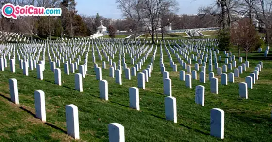 Giải Mã Giấc Mơ Thấy Đi Vào Nghĩa Địa: Tâm Lý Học Và Những Góc Nhìn Đa Chiều