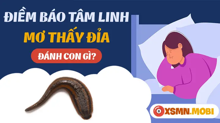 Giải Mã Chi Tiết: Nằm Mơ Thấy Đỉa Là Điềm Gì? Hên Hay Xui?