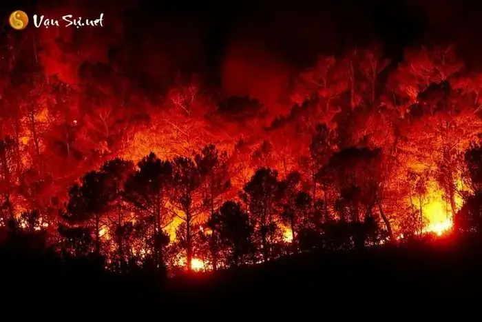 Giải Mã Giấc Mơ Thấy Đốt Vàng Mã: Thông Điệp Từ Tiềm Thức Và Góc Nhìn Văn Hóa