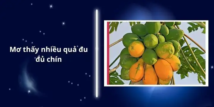 Giải Mã Giấc Mơ Thấy Đu Đủ Chín: Điềm Báo Gì Và Con Số May Mắn Ẩn Chứa
