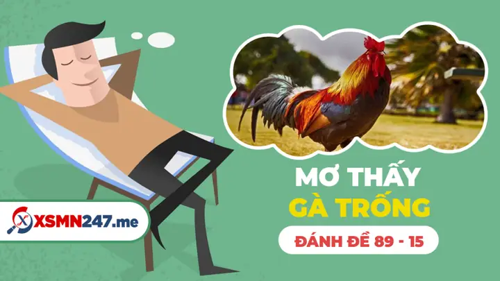 Nằm Mơ Thấy Gà Trống Đánh Số May: Giải Mã Chi Tiết Và Các Con Số Tài Lộc