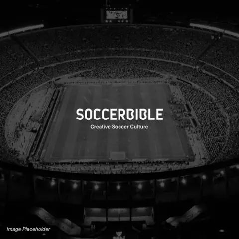 Giải Mã Chi Tiết Ý Nghĩa Giấc Mơ Thấy Gấu Đen Tấn Công: Điềm Báo Và Lời Khuyên