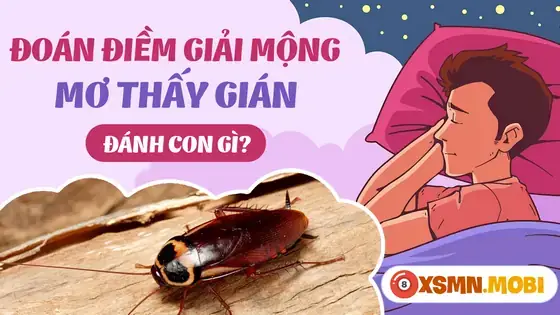 Giải Mã Ý Nghĩa Giấc Mơ Thấy Gián Bò Lên Người Và Những Con Số May Mắn