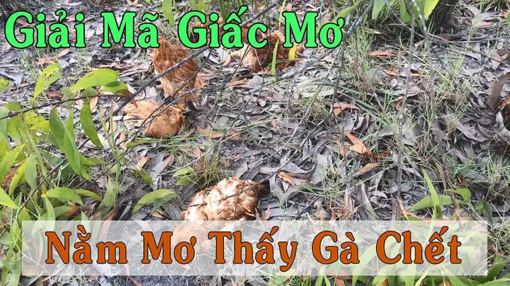 Nằm Mơ Thấy Giết Gà Đánh Số May: Giải Mã Chi Tiết Và Những Con Số Trời Ban