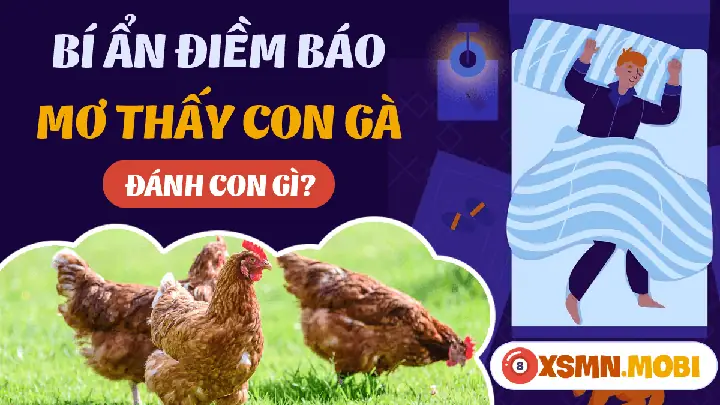 Nằm Mơ Thấy Giết Gà Đánh Số May: Giải Mã Chi Tiết Và Những Con Số Trời Ban