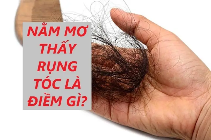 Nằm Mơ Thấy Gội Đầu Bị Rụng Tóc: Giải Mã Ý Nghĩa Và Những Điềm Báo Đằng Sau