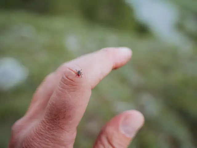 Giải Mã Giấc Mơ Thấy Hái Trái Cây Chín Ăn: Những Điềm Báo Và Con Số May Mắn