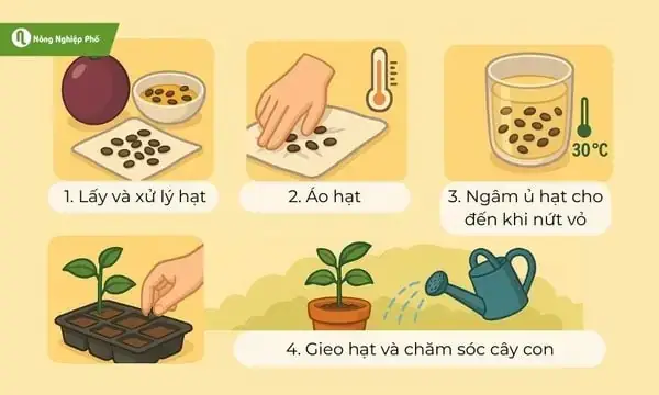 Nằm Mơ Thấy Há Trái Cây: Giải Mã Ý Nghĩa Tâm Linh Và Con Số May Mắn