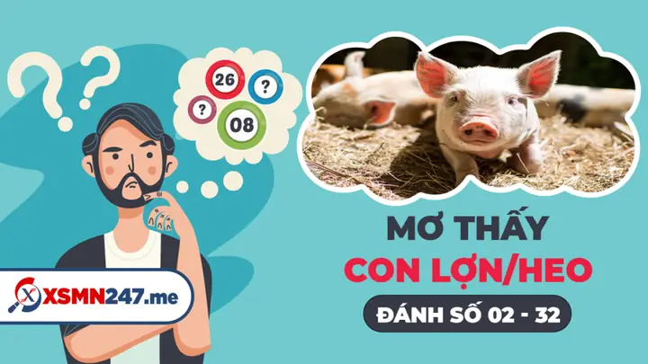 Nằm Mơ Thấy Heo Đất Đánh Số Mấy