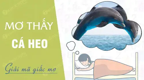 Giải Mã Giấc Mơ Thấy Heo: Điềm Lành Hay Dữ Và Những Con Số May Mắn Ẩn Chứa