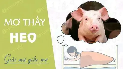 Nằm Mơ Thấy Heo Rượt Đuổi: Giải Mã Chi Tiết Từ Tâm Lý Đến Tâm Linh & Con Số May Mắn