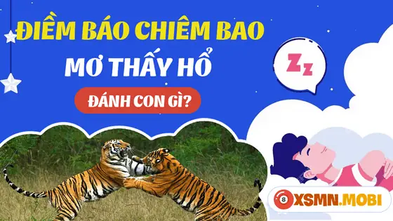 Nằm Mơ Thấy Hổ: Giải Mã Chi Tiết Điềm Báo & Con Số May Mắn