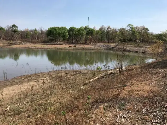 Giải Mã Chi Tiết Ý Nghĩa Giấc Mơ Thấy Hồ Nước Trong Xanh Và Những Điềm Báo Đằng Sau