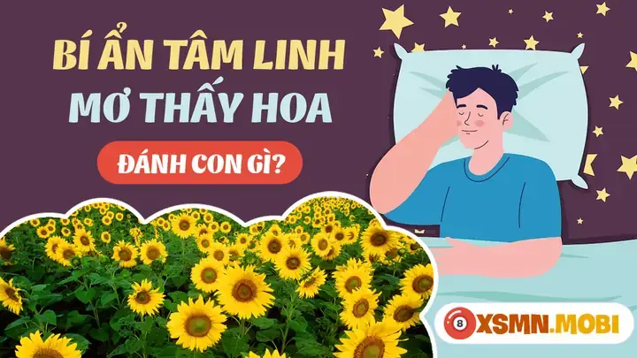 Giải Mã Nằm Mơ Thấy Hoa Đánh Số Gì? Cẩm Nang Đầy Đủ Và Khoa Học