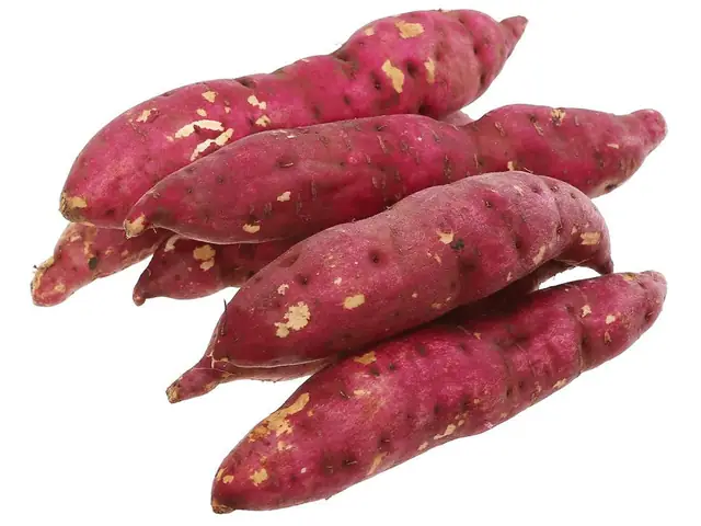 Nằm Mơ Thấy Khoai Lang Đánh Số Gì