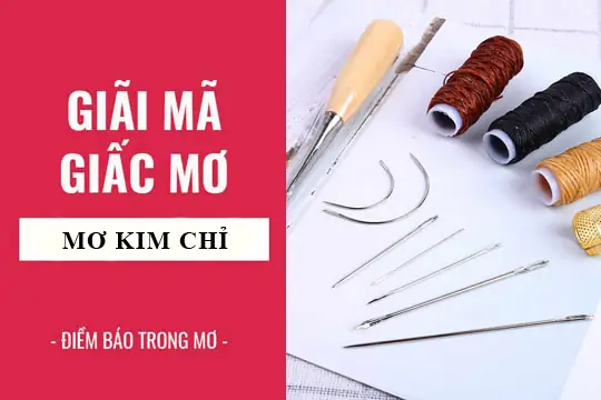 Giải Mã Giấc Mơ Thấy Kim Đâm Vào Chân: Điềm Báo Gì Và Con Số May Mắn