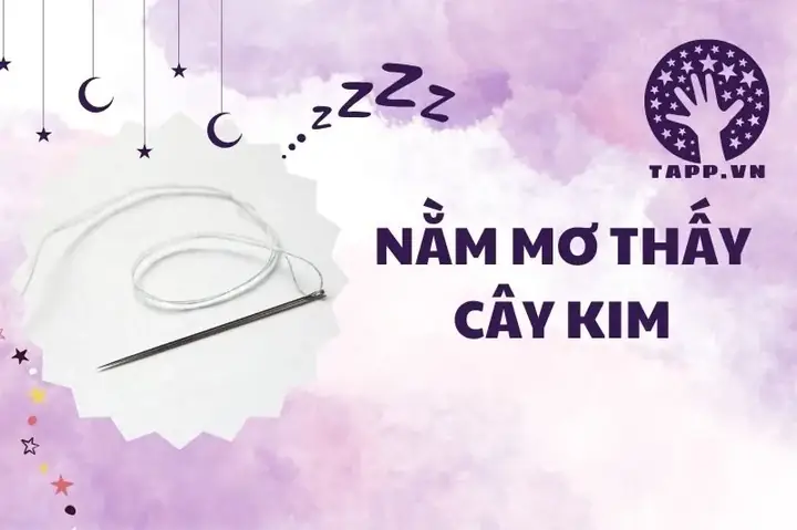Giải Mã Ý Nghĩa Giấc Mơ Thấy Kim Đâm Vào Tay: Điềm Báo Gì Và Con Số May Mắn