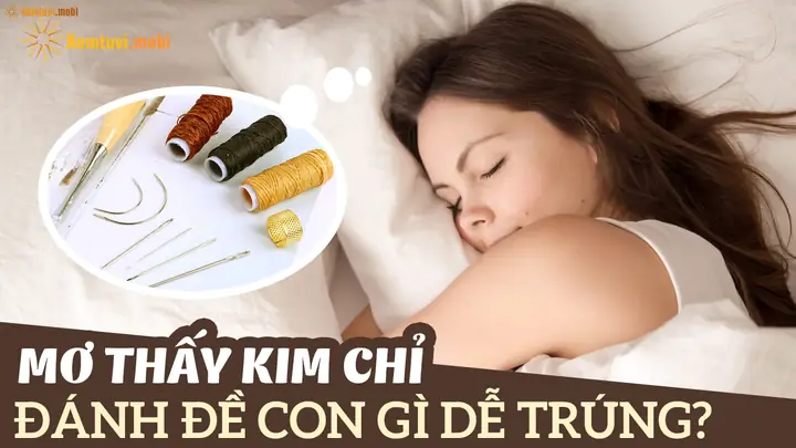 Nằm Mơ Thấy Kim Khâu Đánh Con Gì? Giải Mã Bí Ẩn Và Con Số May Mắn