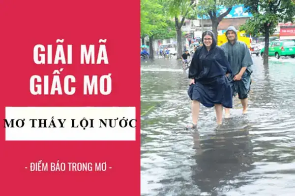 Giải Mã Ý Nghĩa Giấc Mơ Thấy Lội Nước Mênh Mông: Điềm Báo Gì Và Con Số May Mắn