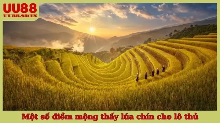 Nằm Mơ Thấy Lúa Chín Đánh Số Gì? Giải Mã Ý Nghĩa & Con Số May Mắn