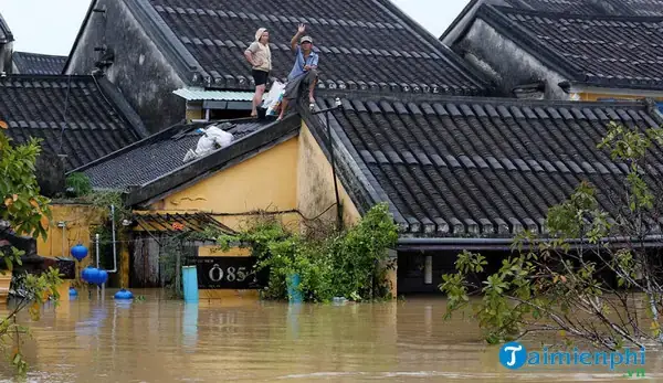 Giải Mã Giấc Mơ Thấy Lũ Lụt: Điềm Báo Tâm Linh Hay Dấu Hiệu Từ Tiềm Thức?