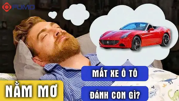 Giải Mã Ý Nghĩa Giấc Mơ Thấy Mất Xe Ô Tô Và Các Điềm Báo Liên Quan