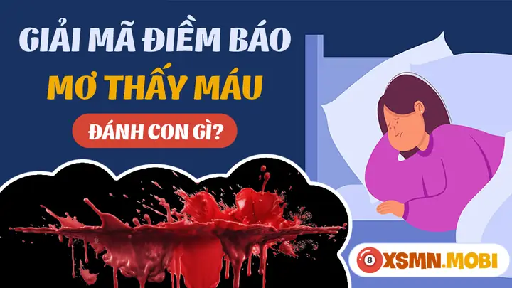 Giải Mã Ý Nghĩa Giấc Mơ Thấy Máu: Điềm Lành Hay Dữ Và Con Số May Mắn Ẩn Chứa