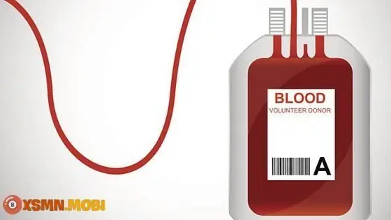 Giải Mã Ý Nghĩa Giấc Mơ Thấy Máu: Điềm Lành Hay Dữ Và Con Số May Mắn Ẩn Chứa